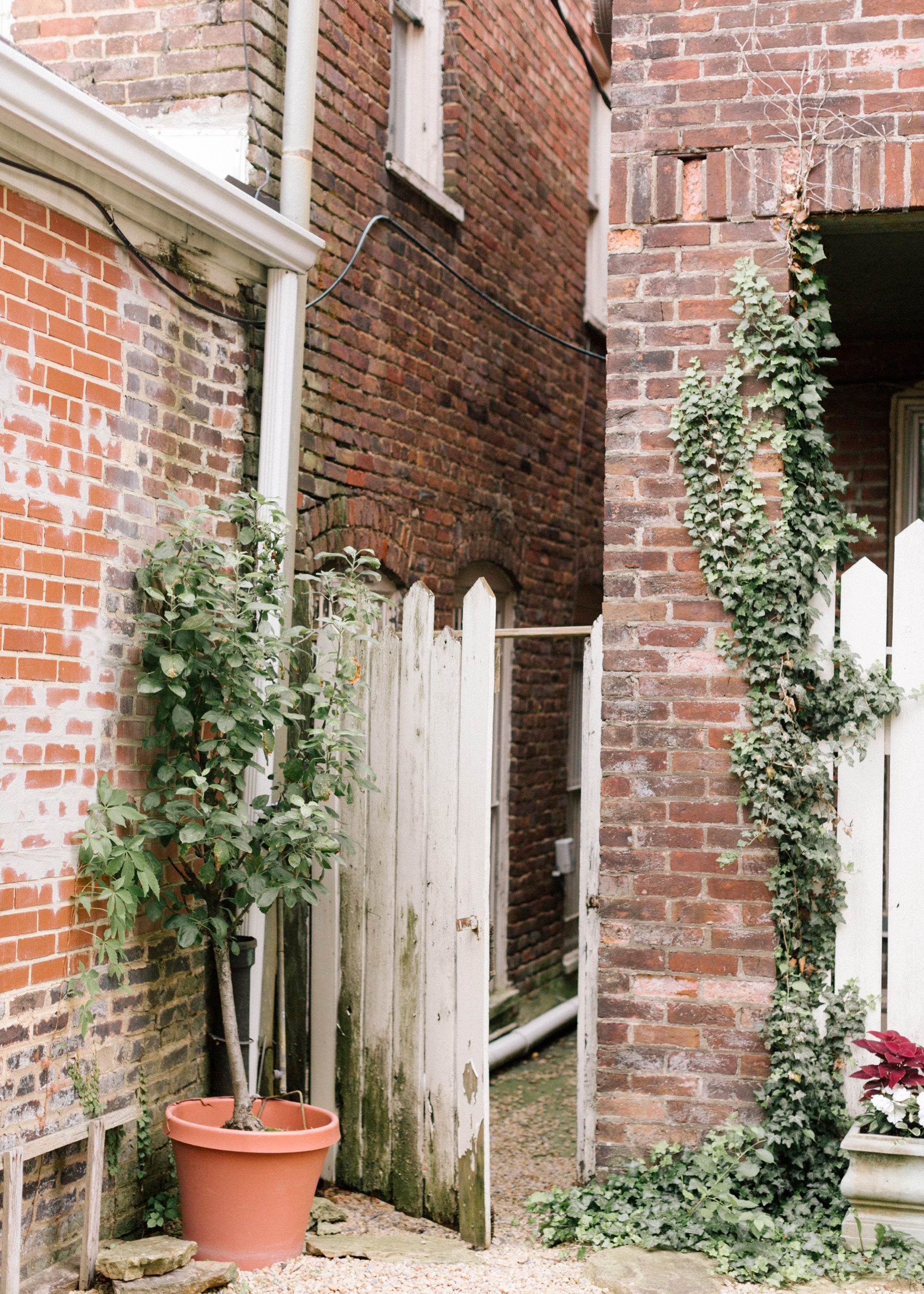 Downtown Staunton Virginia Engagement Photos Miranda and Patrick_0011