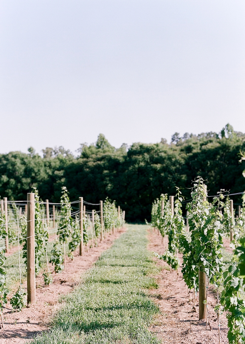 Mount Ida Farm Charlottesville Virginia Wedding Photos Jackie and Kyle_0041