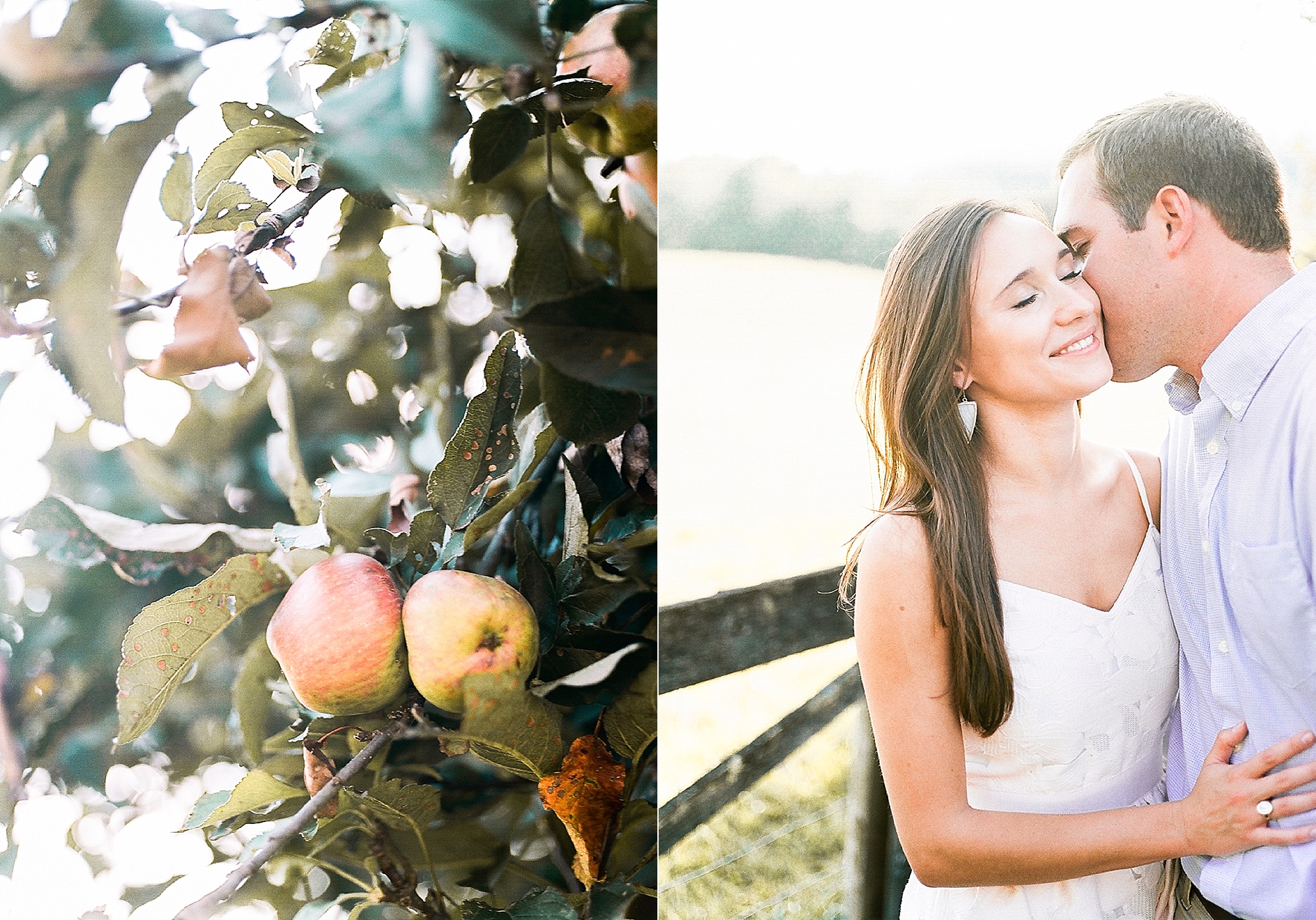 charlottesville-ash-lawn-highlands-engagement-session-sj_0002