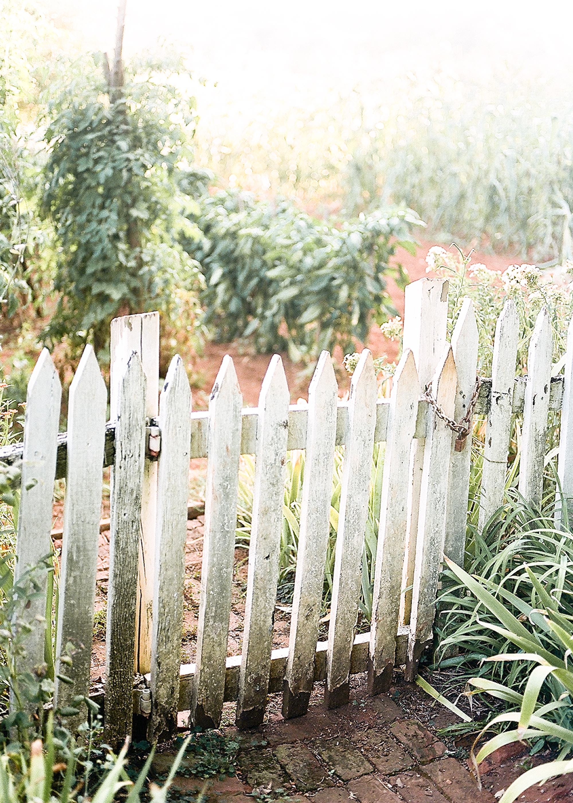 charlottesville-ash-lawn-highlands-engagement-session-sj_0012